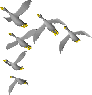 gänse,fliegen
