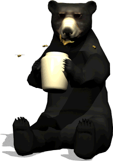 schwarzbär