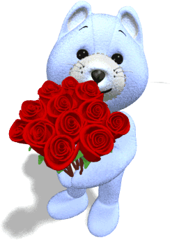 teddybär,rosen